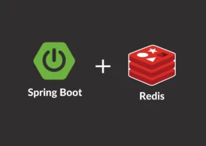 Appreciating Redis and Caching in Microservices Using Spring Boot Appreciating Redis and Caching in Microservices Using Spring Boot